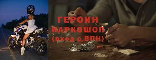 индика Новозыбков