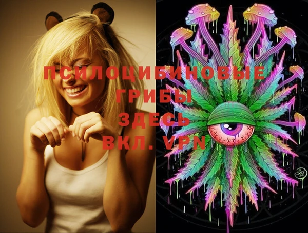 mdma Белокуриха