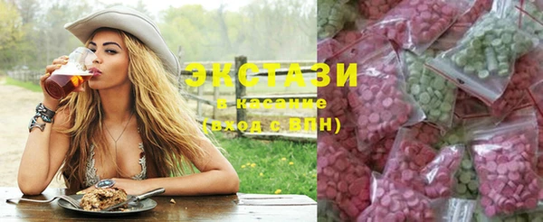 индика Новозыбков