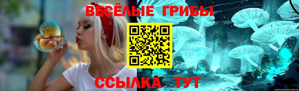 Галлюциногенные грибы прущие грибы Соль-Илецк